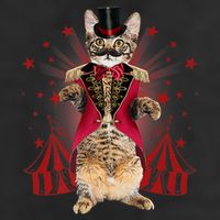 Circus S Ringmaster Cat Ringmaster Costume 11oz C Handle Ceramic Mug