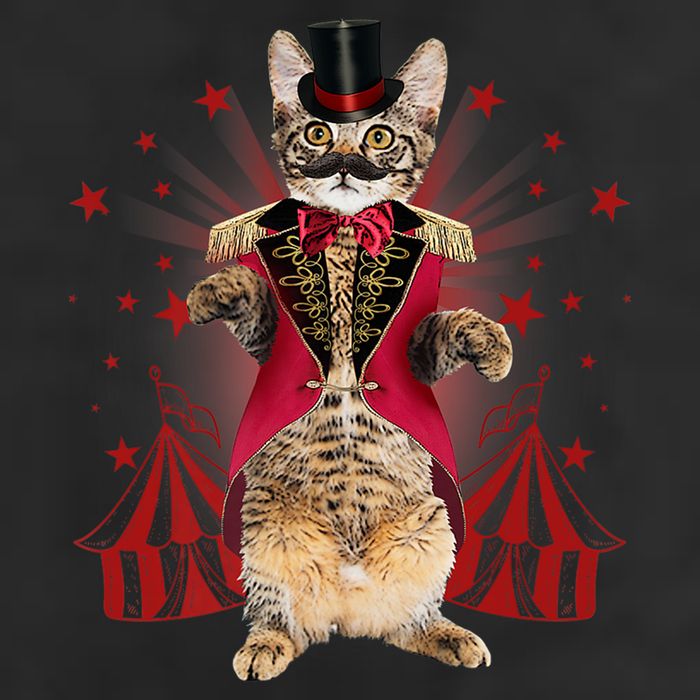Circus S Ringmaster Cat Ringmaster Costume 11oz C Handle Ceramic Mug