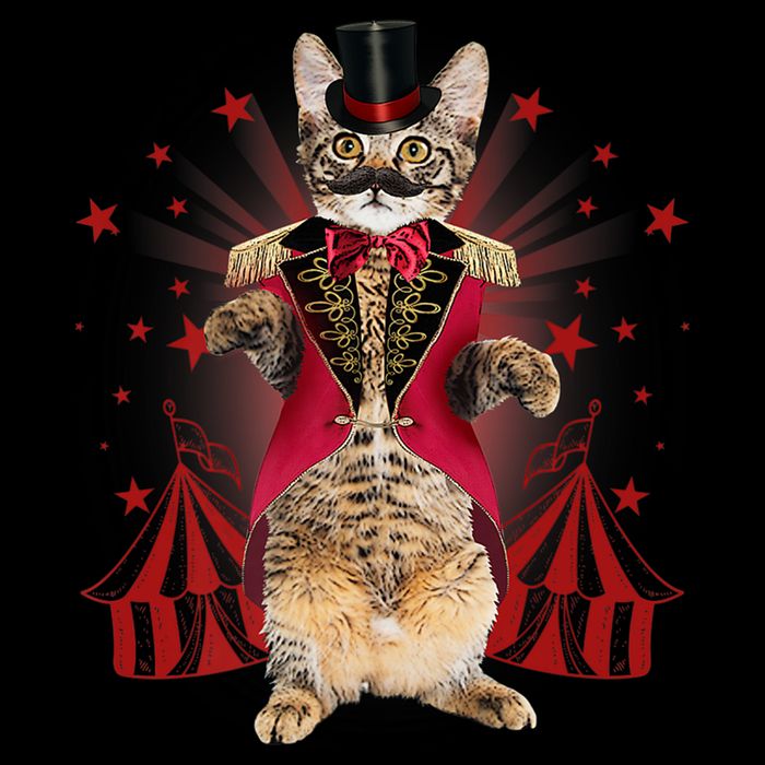 Circus S Ringmaster Cat Ringmaster Costume Bag