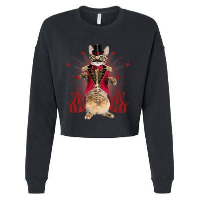 Circus S Ringmaster Cat Ringmaster Costume Cropped Pullover Crew