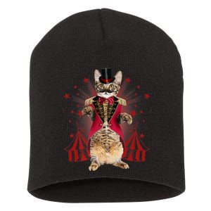 Circus S Ringmaster Cat Ringmaster Costume Short Acrylic Beanie