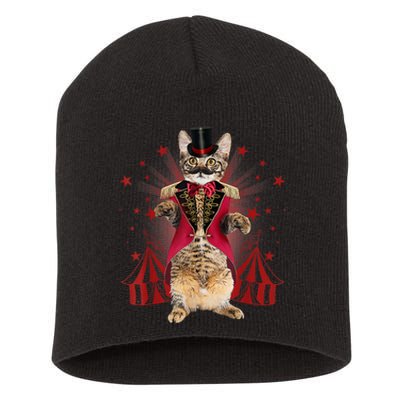 Circus S Ringmaster Cat Ringmaster Costume Short Acrylic Beanie