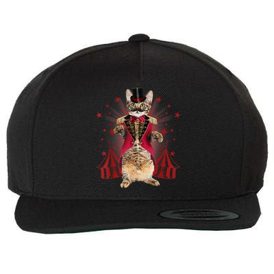 Circus S Ringmaster Cat Ringmaster Costume Wool Snapback Cap