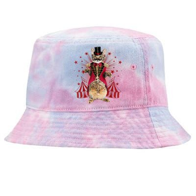 Circus S Ringmaster Cat Ringmaster Costume Tie-Dyed Bucket Hat