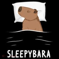Capybara Sleepybara Sleep Capybara T-Shirt