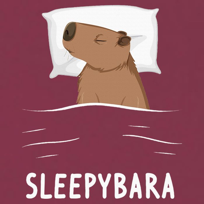 Capybara Sleepybara Sleep Capybara 16oz Travel Tumbler
