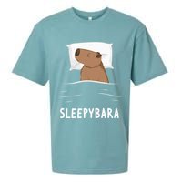 Capybara Sleepybara Sleep Capybara Sueded Cloud Jersey T-Shirt