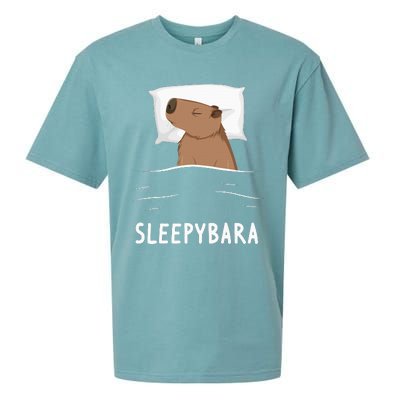 Capybara Sleepybara Sleep Capybara Sueded Cloud Jersey T-Shirt