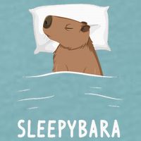 Capybara Sleepybara Sleep Capybara Sueded Cloud Jersey T-Shirt