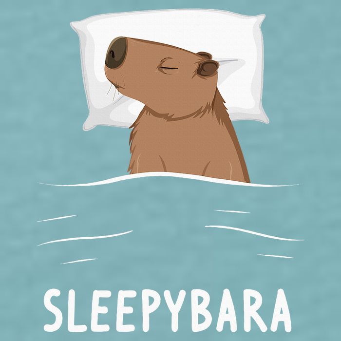 Capybara Sleepybara Sleep Capybara Sueded Cloud Jersey T-Shirt