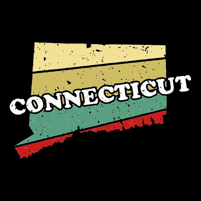 Connecticut State Souvenir Cooling Performance Long Sleeve Crew