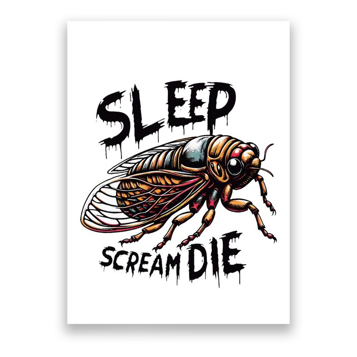 Cicada Sleep Scream Die Incect Bug Lover Entomologist Poster