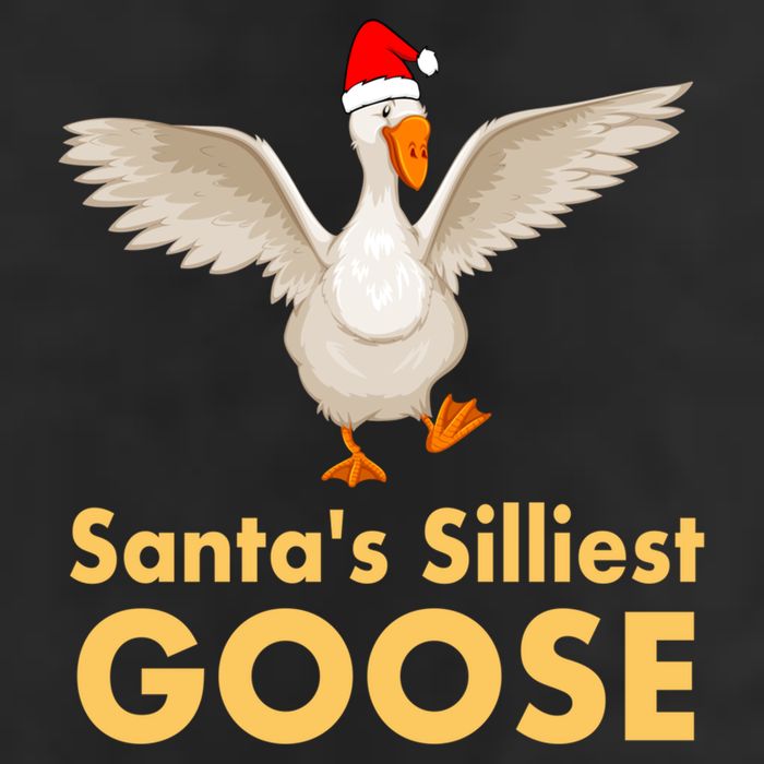 Cool Santas Silliest Goose Tacky Funny Christmas Duck Swans Gift Beanie