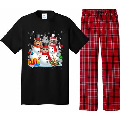 Cat Snow Santa Christmas Light Cat Mom Cat Dad Cat Lover Gift Pajama Set