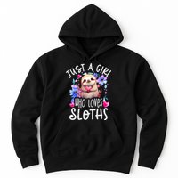 Cute Sloth , Sloth Lover Tee, Sloth , Sloth Hoodie