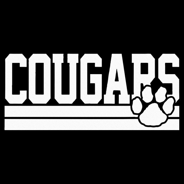 Cougars School Spirit 16 in Basic Backpack