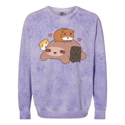 Cute Sleeping Sloth Loves Guinea Pigs for pet lovers plush Colorblast Crewneck Sweatshirt