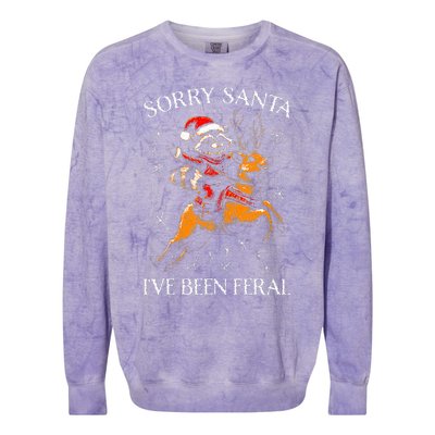 Christmas Sorry Santa Xmas Colorblast Crewneck Sweatshirt