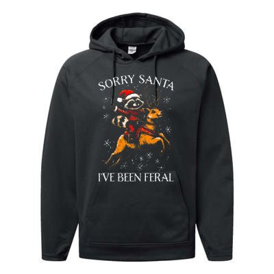 Christmas Sorry Santa Xmas Performance Fleece Hoodie