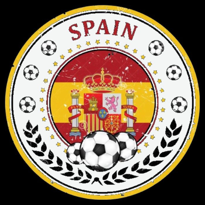 Cool Spain Soccer Logo Wool Snapback Cap