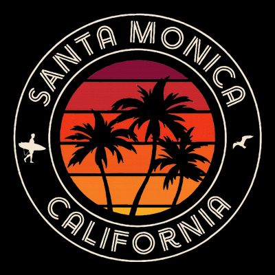 California Sunset Surfer And Seagull Santa Monica Beach T-Shirt