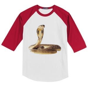 Cobra Snake T For Men Women Boy Girl Kids Colorblock Raglan Jersey