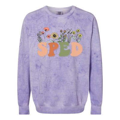 Cute SPED Teacher Special Education Wildflower SPED Teacher Colorblast Crewneck Sweatshirt