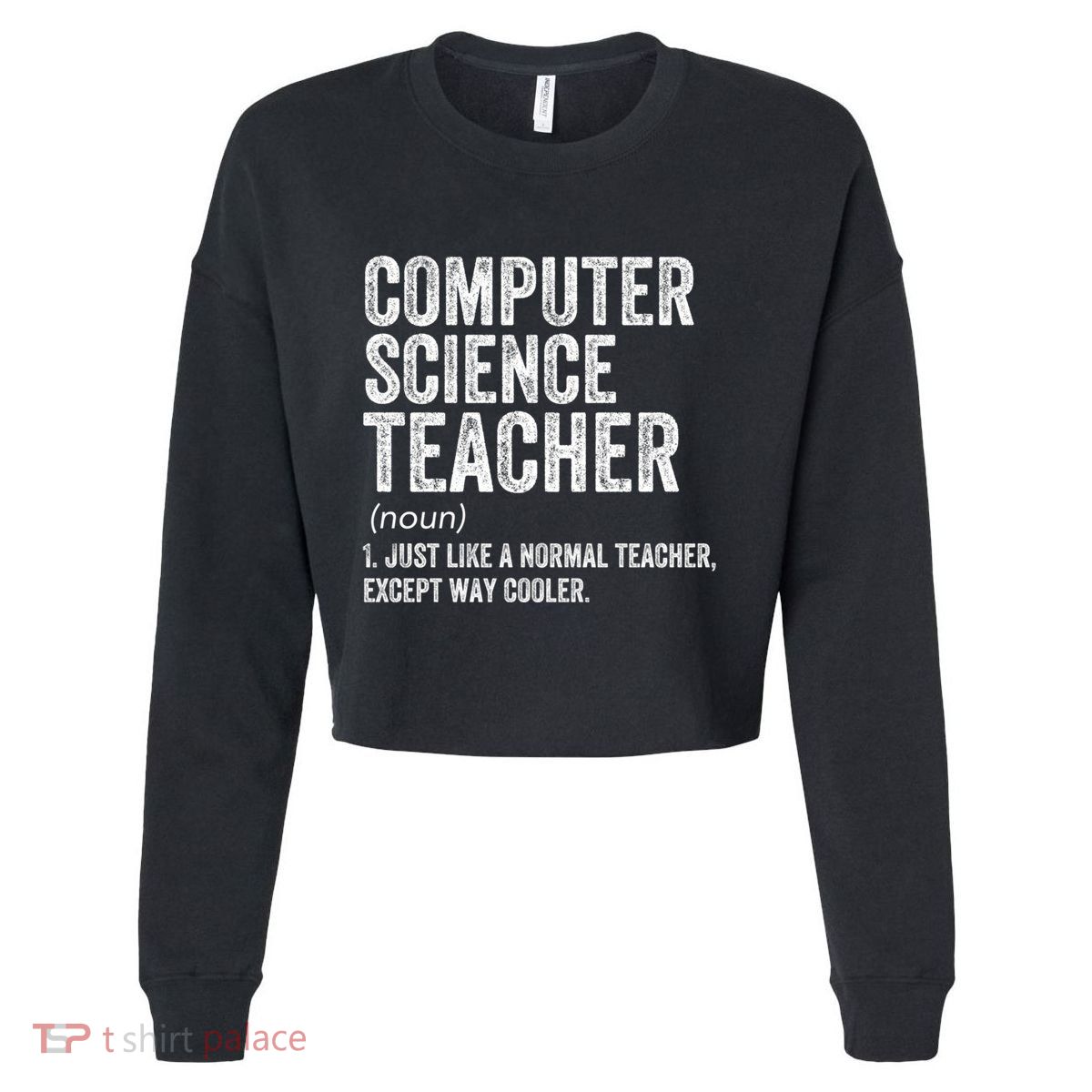 Computer Science Teacher Meaningful Gift Cropped Pullover Crew