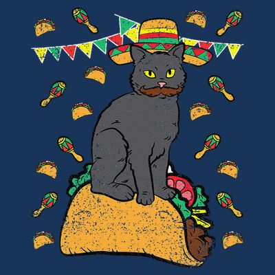 Cat Sitting Taco Cinco De Mayo Mexican Food Fiesta Party T-Shirt