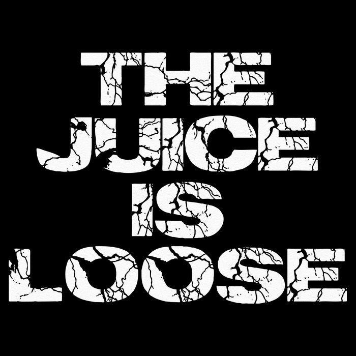 Casual Summer Trendy THE JUICE IS LOOSE Electric 16 in Basic Backpack