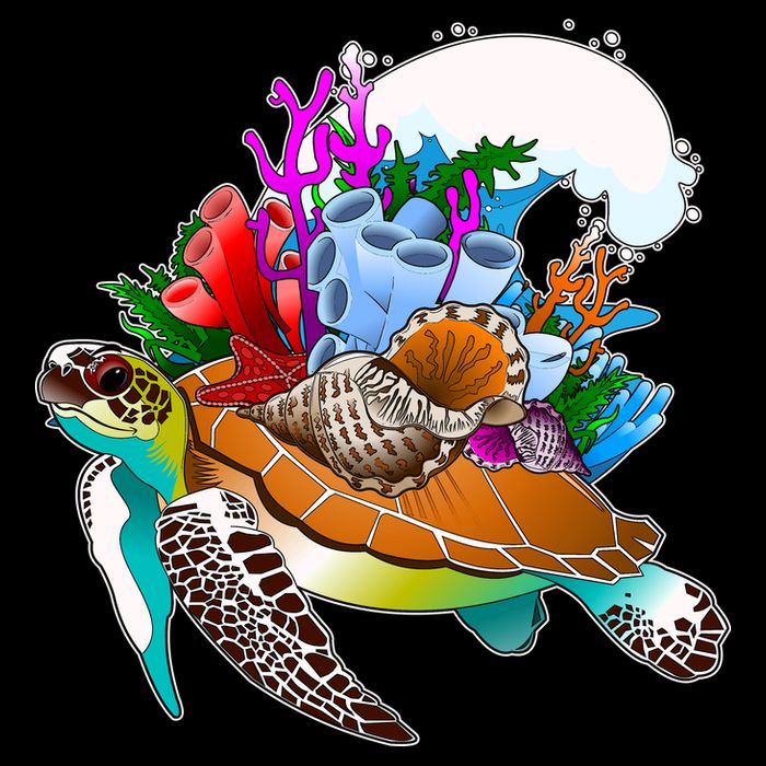 Cool Sea Turtle Ocean Life Women's Crop Top Tee
