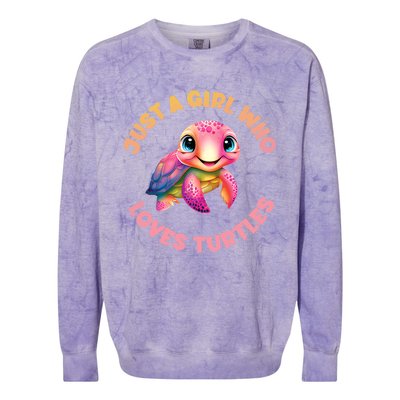 Cute Sea Turtle Kawaii Just A Who Loves Turtles Colorblast Crewneck Sweatshirt