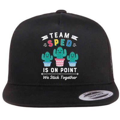 Cute Sped Teacher Gift Special Education Cactus Sped Teacher Flat Bill Trucker Hat