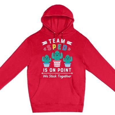 Cute Sped Teacher Gift Special Education Cactus Sped Teacher Premium Pullover Hoodie