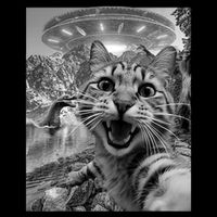Cat Sasquatch Ufo For Cat Lover Cat Selfie With Ufo 16 in Basic Backpack