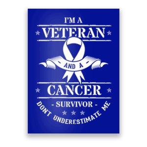 Cancer Survivor Veteran Chemotherapy Warrior Gift Poster