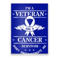 Cancer Survivor Veteran Chemotherapy Warrior Gift Poster