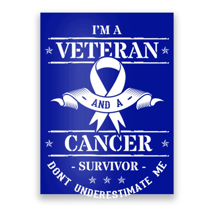 Cancer Survivor Veteran Chemotherapy Warrior Gift Poster