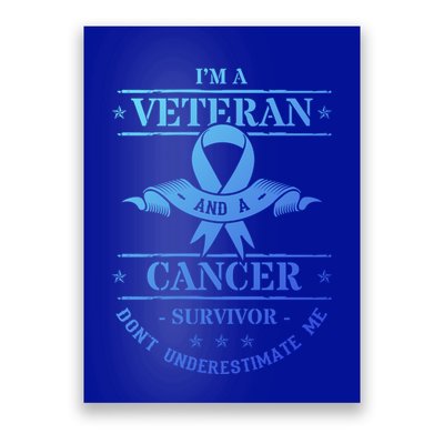 Cancer Survivor Veteran Chemotherapy Warrior Gift Poster