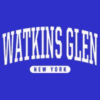 College Style Watkins Glen New York Souvenir Gift  16 in Basic Backpack