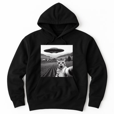Cat Selfie With Alien Ufo Funny Cat Gifts Hoodie