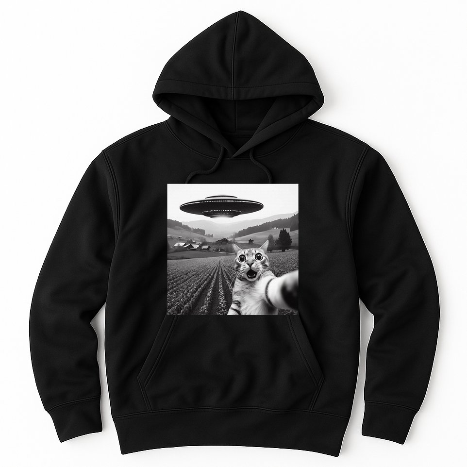 Cat Selfie With Alien Ufo Funny Cat Gifts Hoodie
