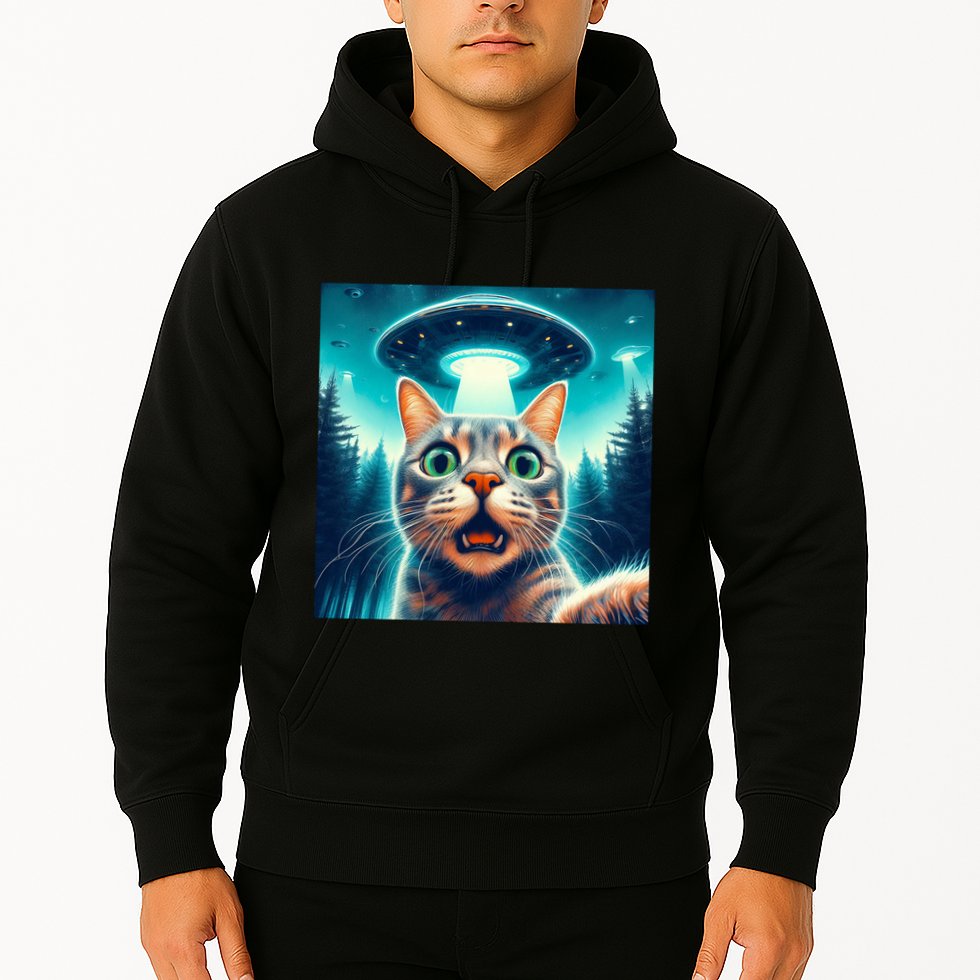 Cat Selfie With Ufo Cat Lover Meme Hoodie