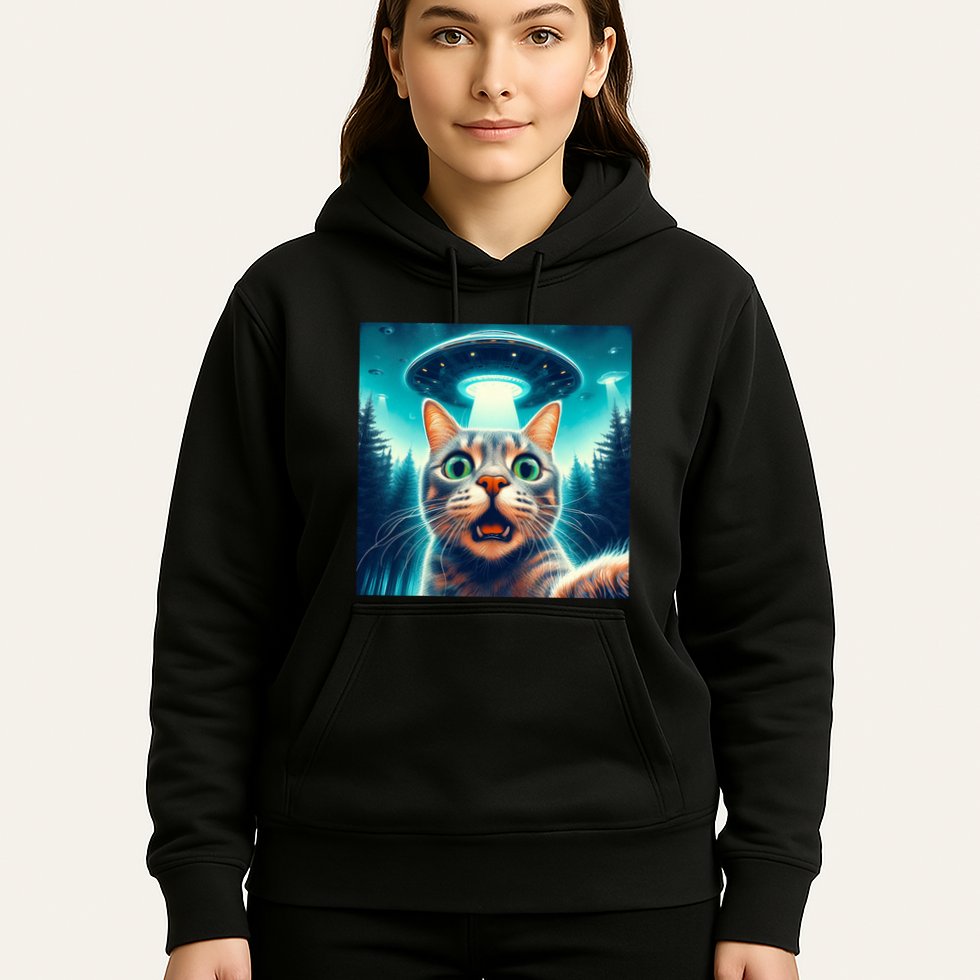 Cat Selfie With Ufo Cat Lover Meme Hoodie