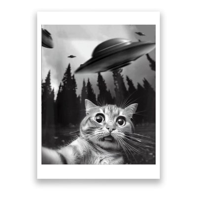 Cat Selfie With Alien UFO Funny Cat Lovers Spaceship Gift Poster