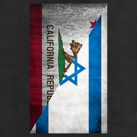 California Stands With Israeli Flag California Flag 25L Jumbo Tote