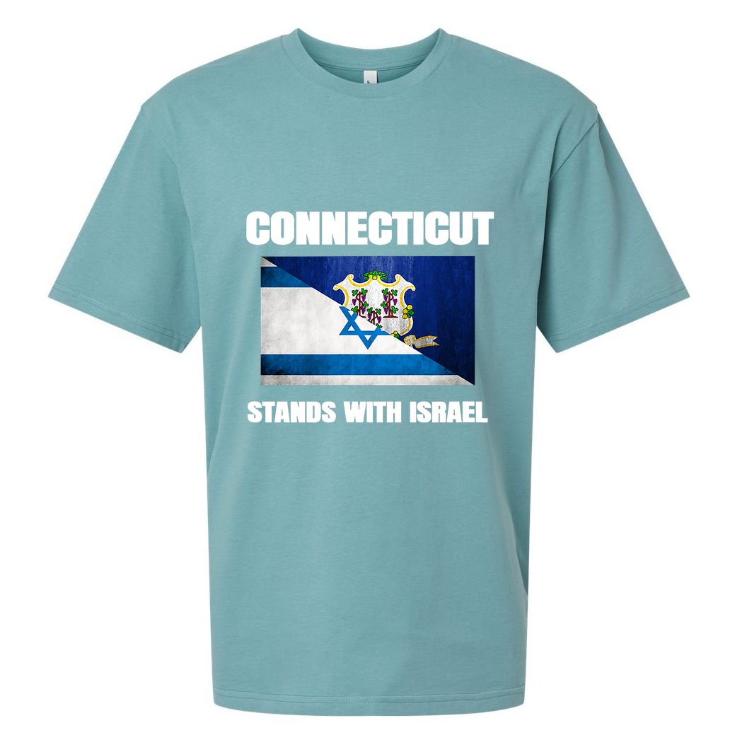 Connecticut Stands With Israel Connecticut Israel Flag Sueded Cloud Jersey T-Shirt