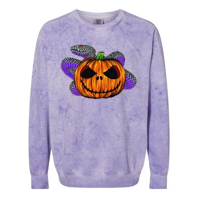 Cool Snake With Spooky Pumpkin Halloween Costume Colorblast Crewneck Sweatshirt