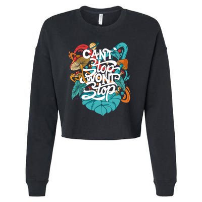 Can't Stop Won't Stop Cropped Pullover Crew