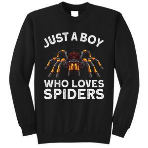 Cute Spider Web Tarantula Arachnid Sweatshirt